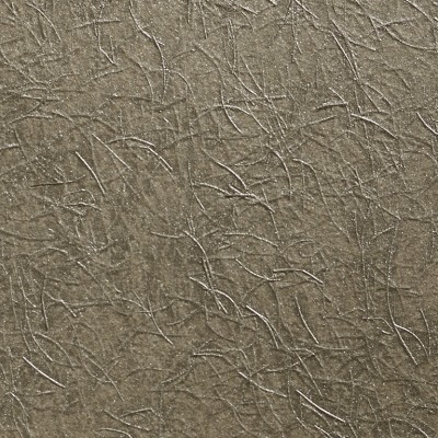 Wallcoverings - Wallcoverings - Delight