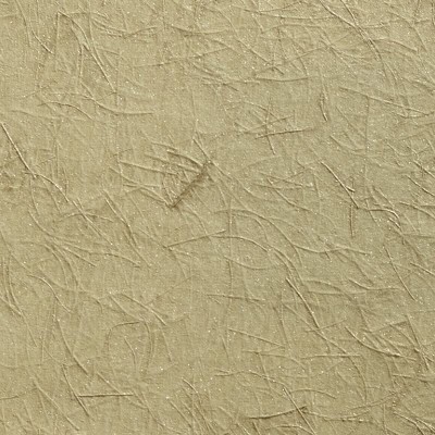 Wallcoverings - Wallcoverings - Delight