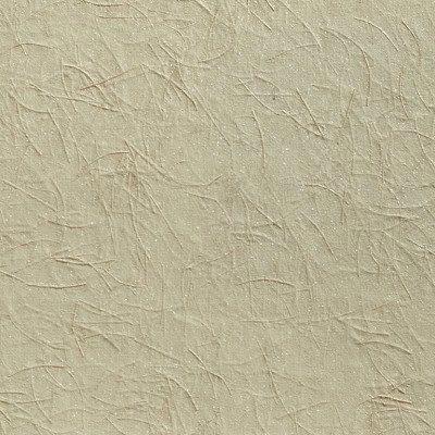 Wallcoverings - Wallcoverings - Delight
