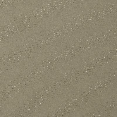 Wallcoverings - Wallcoverings - Delight