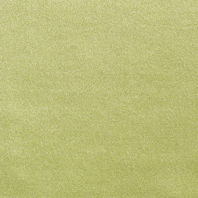 Drapery - Drapery - Kiwi