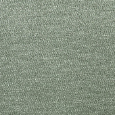 Drapery - Drapery - Kiwi